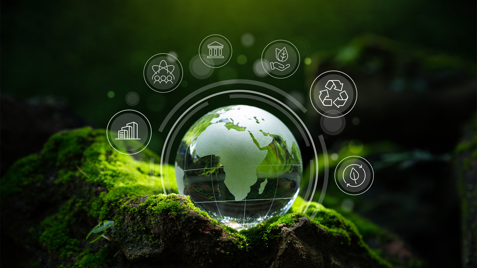Socially Responsible Investing