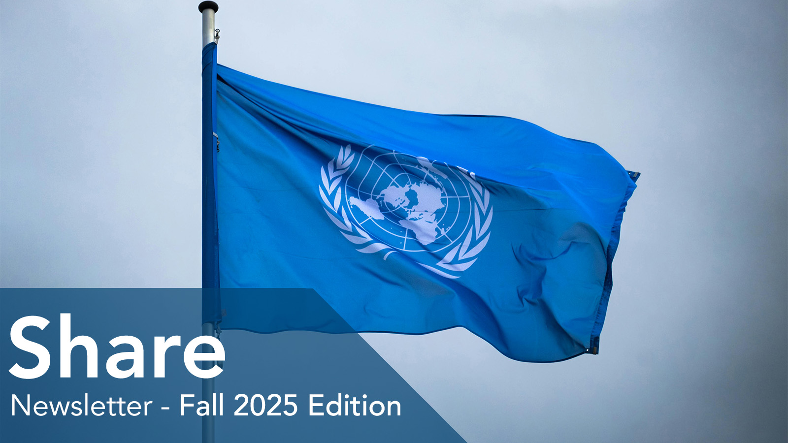 The United Nations flag for the Year of the Cooperative 