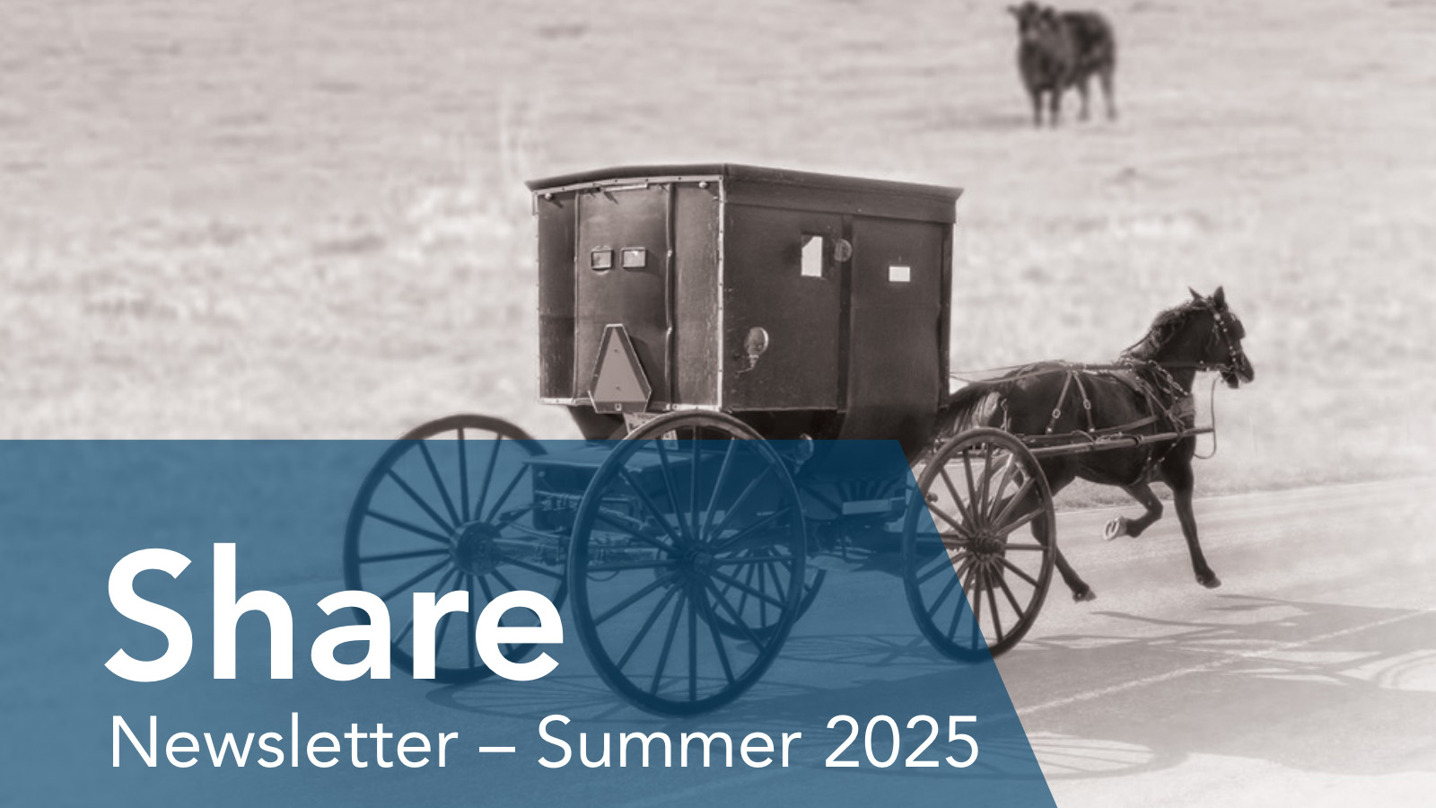 Share Newsletter: Summer 2025 Edition 