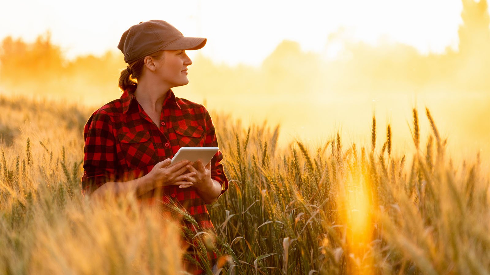 Celebrating Canadian Agriculture on Canada’s Agriculture Day - Kindred Credit Union