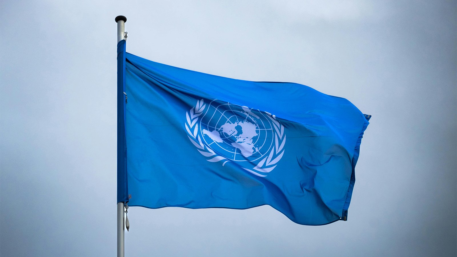 Flag of the United Nations 