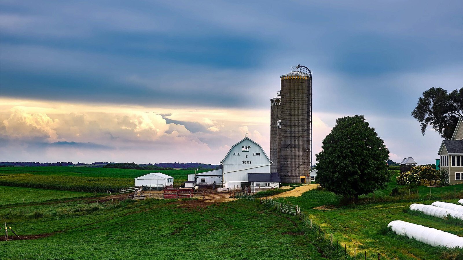 Family farm 