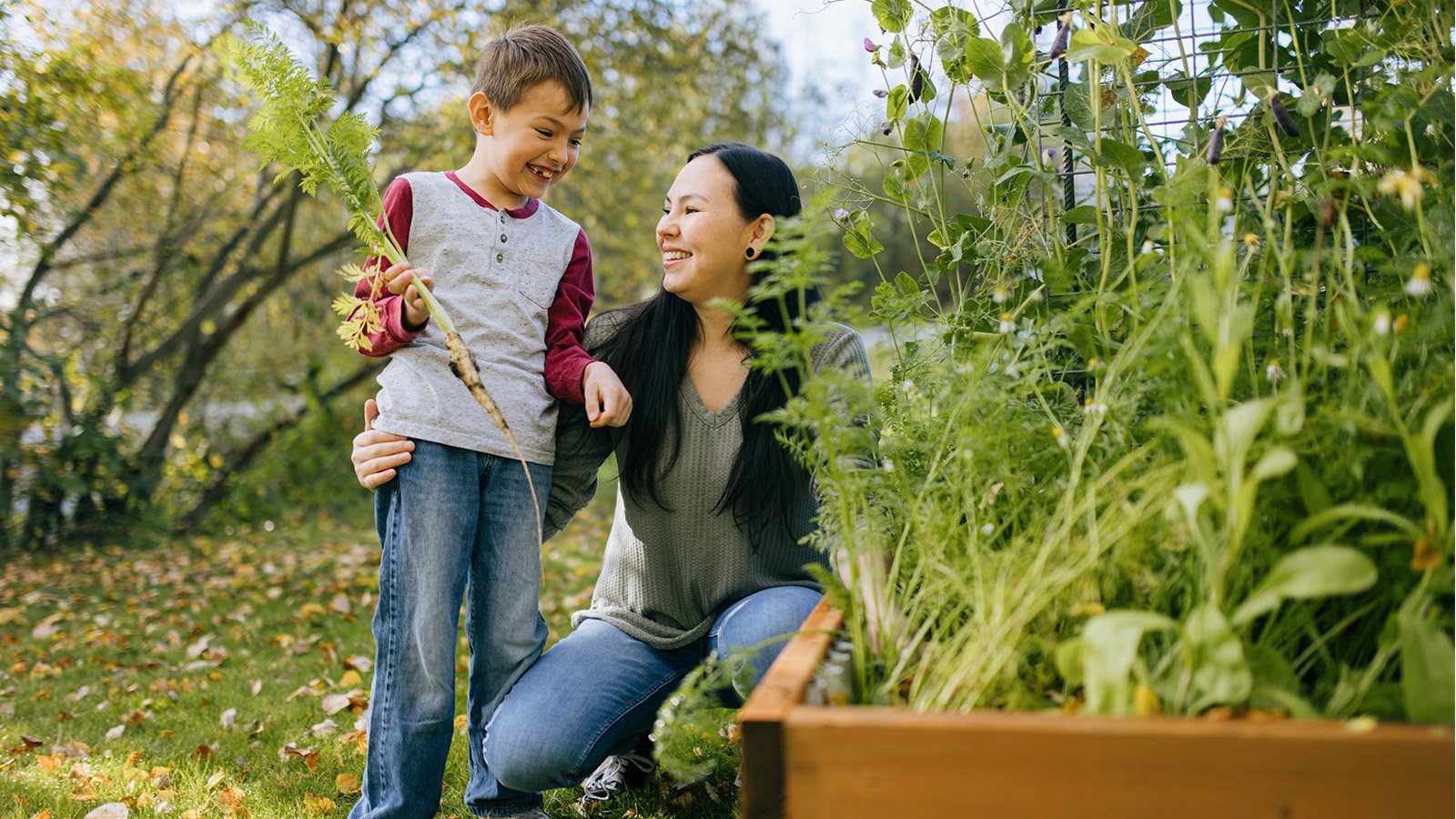 Native woman and child picking carrots