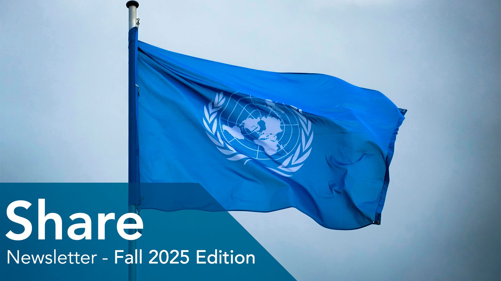 The United Nations flag for the Year of the Cooperative